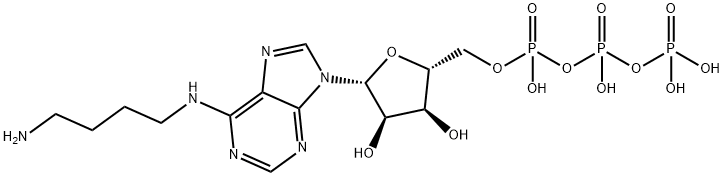 Adenosine 5'-(tetrahydrogen triphosphate), N-(4-aminobutyl)- 结构式