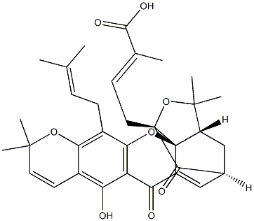 异桑藤黄酸 结构式
