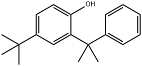 Phenol, 4-(1,1-dimethylethyl)-2-(1-methyl-1-phenylethyl)- 结构式