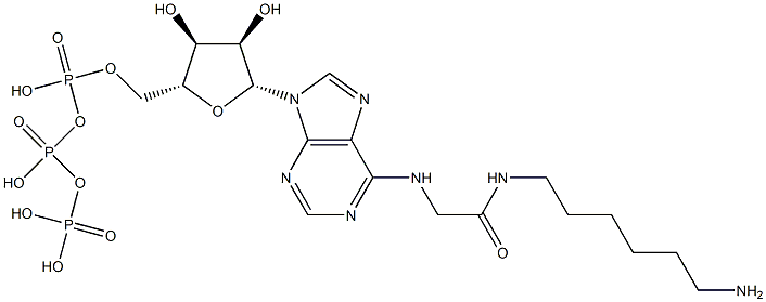 N(6)-((6-aminohexyl)carbamoylmethyl)ATP 结构式