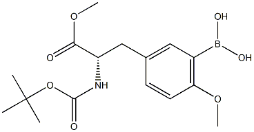 BOC--L-酪氨酸(3-二羟硼基,甲醚)甲酯 结构式