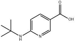 6-(叔丁基氨基)吡啶-3-甲酸 结构式