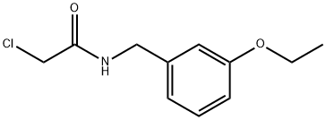 2-氯-N-[(3-乙氧基苯基)甲基]乙酰胺 结构式