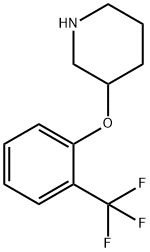 3-[2-(trifluoromethyl)phenoxy]piperidine 结构式