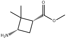 Cyclobutanecarboxylic acid, 3-amino-2,2-dimethyl-, methyl ester, (1R,3S)- 结构式