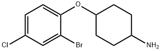 4-(2-溴-4-氯苯氧基)环己-1-胺 结构式