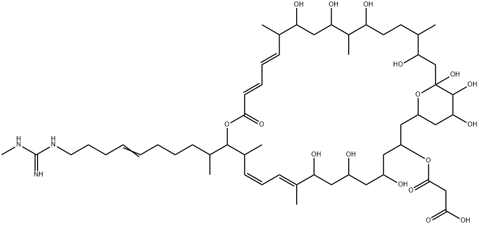 Propanedioic acid, mono[5,7,9,23,25,27,31,33,34,35-decahydroxy-15-[9-[[imino(methylamino)methyl]amino]-1-methyl-5-nonenyl]-10,14,22,26,30-pentamethyl-17-oxo-16,37-dioxabicyclo[31.3.1]heptatriaconta-10,12,18,20-tetraen-3-yl] ester (9CI) 结构式