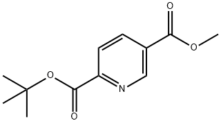 2-tert-butyl 5-methyl pyridine-2,5-dicarboxylate 结构式