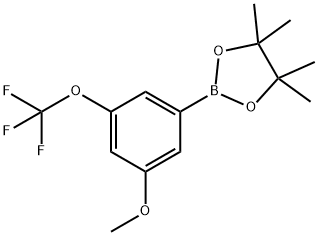 3-甲氧基-5-三氟甲氧基苯硼酸频哪醇酯 结构式