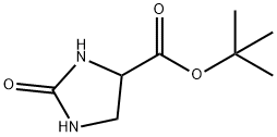 tert-butyl 2-oxoimidazolidine-4-carboxylate 结构式