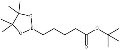 5-(四甲基-1,3,2-二氧杂硼戊烷-2-基)戊酸叔丁酯 结构式