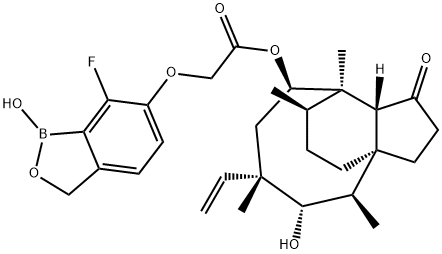 AN11251 结构式