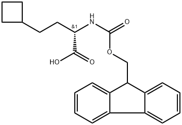 (S)-2-((((9H-芴-9-基)甲氧基)羰基)氨基)-4-环丁基丁酸 结构式