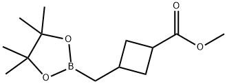 Cyclobutanecarboxylic acid, 3-[(4,4,5,5-tetramethyl-1,3,2-dioxaborolan-2-yl)methyl]-, methyl ester 结构式