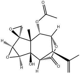 2-O-ACETYLTUTIN 结构式