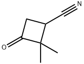 2,2-二甲基-3-氧代环丁腈 结构式