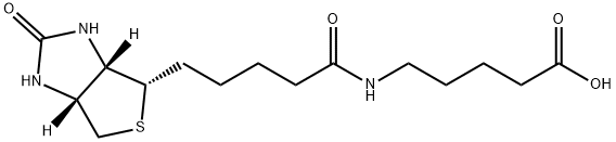 5-[[5-[(3AS,4S,6AR)-六氢-2-氧代-1H-噻吩并[3,4-D]咪唑-4-基]-1-氧代戊基]氨基]戊酸 结构式