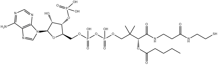 valeryl-coenzyme A 结构式