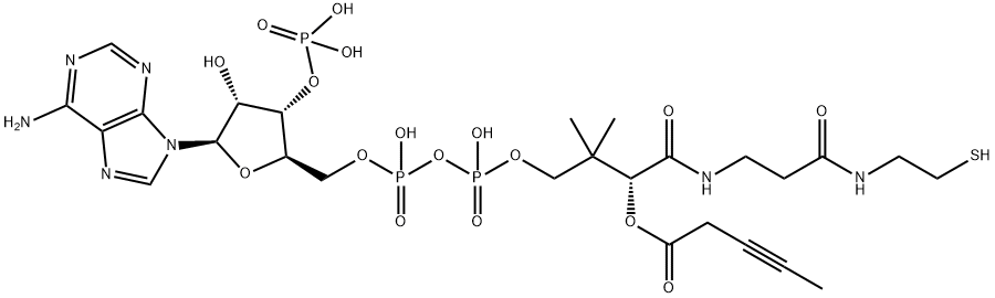 3-pentynoyl-coenzyme A 结构式