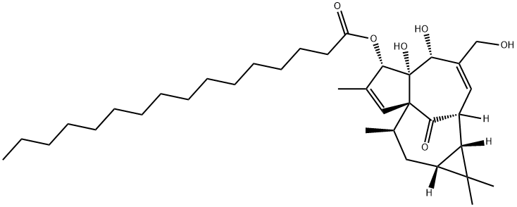 PALMITIC ACID (1AR)-1AΑ,2Β,5,5A,6,9,10,10AΑ-OCTAHYDRO-5Β,5AΒ-DIHYDROXY-4-HYDROXYMETHYL-1,1,7,9Α-TETRAMETHYL-11-OXO-1H-2Α,8AΑ-MET 结构式