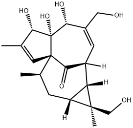 1H-2,8a-Methanocyclopenta[a]cyclopropa[e]cyclodecen-11-one, 1a,2,5,5a, 6,9,10,10a-octahydro-5,5a,6-trihydroxy-1,4-bis(hydroxymethyl)-1,7,9-tr imethyl-, [1S-(1alpha,1aalpha,2alpha,5beta,5abeta,6beta,8aalpha,9alpha ,10aalpha)]- 结构式