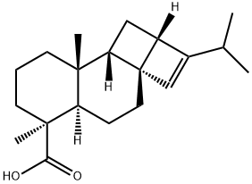 (1aR,3aR)-1,1a,5,5aα,6,7,8,9,9a,9bα-Decahydro-6,9aβ-dimethyl-2-(1-methylethyl)-4H-cyclobuta[2,3]cyclobuta[1,2-a]naphthalene-6α-carboxylic acid 结构式