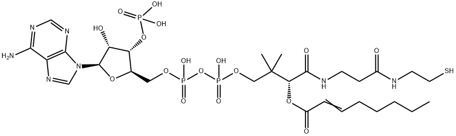 S-2-Octenoate coenzyme A 结构式