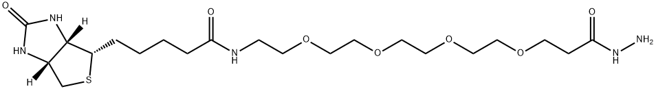 生物素-PEG4-酰肼 结构式