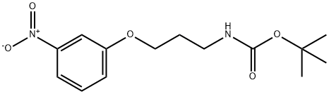 Carbamic acid, N-[3-(3-nitrophenoxy)propyl]-, 1,1-dimethylethyl ester 结构式