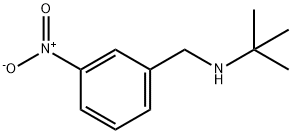 Benzenemethanamine, N-(1,1-dimethylethyl)-3-nitro- 结构式