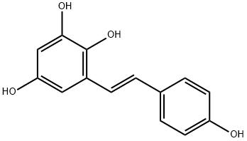 化合物 MAO-A INHIBITOR 1 结构式