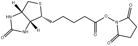 维生素H丁二酰亚胺酯 结构式
