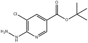 3-Pyridinecarboxylic acid, 5-chloro-6-hydrazinyl-, 1,1-dimethylethyl ester 结构式