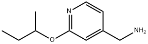 2-(丁烷-2-氧基)吡啶-4-基]甲胺 结构式
