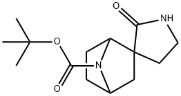 Spiro[7-azabicyclo[2.2.1]heptane-2,3′-pyrrolidine]-7-carboxylic acid, 2′-oxo-, 1… 结构式