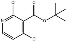 2,4-二氯烟酸叔丁酯 结构式