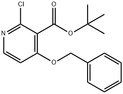 4-(苄氧基)-2-氯烟酸叔丁酯 结构式