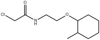 2-氯-N-{2-[(2-甲基环己基)氧基]乙基}乙酰胺 结构式