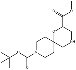 9-(叔丁基)2-甲基-1-氧杂-4,9-二氮杂螺[5.5]十一烷-2,9-二羧酸酯 结构式