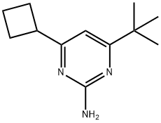 2-animo-4-(cyclobutyl)-6-(tert-butyl)pyrimidine 结构式