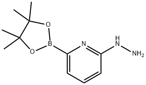 Pyridine, 2-hydrazinyl-6-(4,4,5,5-tetramethyl-1,3,2-dioxaborolan-2-yl)- 结构式