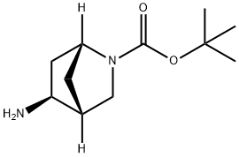 (1R,4R,5S)-5-氨基-2-氮杂双环[2.2.1]庚烷-2-羧酸叔丁酯 结构式