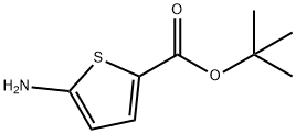 5-氨基噻吩-2-羧酸叔丁酯 结构式