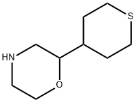 Morpholine,2-(tetrahydro-2H-thiopyran-4-yl)- 结构式