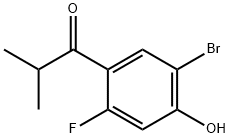 1-(5-溴-2-氟-4-羟基苯基)-2-甲基丙烷-1-酮 结构式