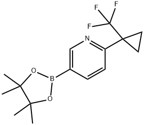 5-(4,4,5,5-四甲基-1,3,2-二氧硼杂环戊烷-2-基)-2-(1-(三氟甲基)环丙基)吡啶 结构式