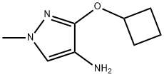 3-环丁氧基-1-甲基-1H-吡唑-4-胺 结构式