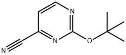 2-tert-Butoxy-pyrimidine-4-carbonitrile 结构式