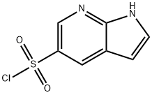 1H-PYRROLO[2,3-B]PYRIDINE-5-SULFONYL CHLORIDE 结构式