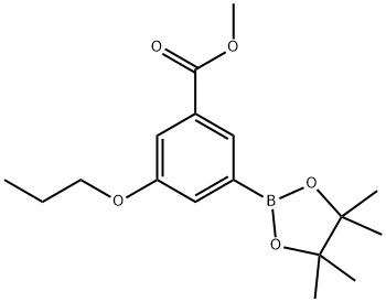 Benzoic acid, 3-propoxy-5-(4,4,5,5-tetramethyl-1,3,2-dioxaborolan-2-yl)-, methyl ester 结构式